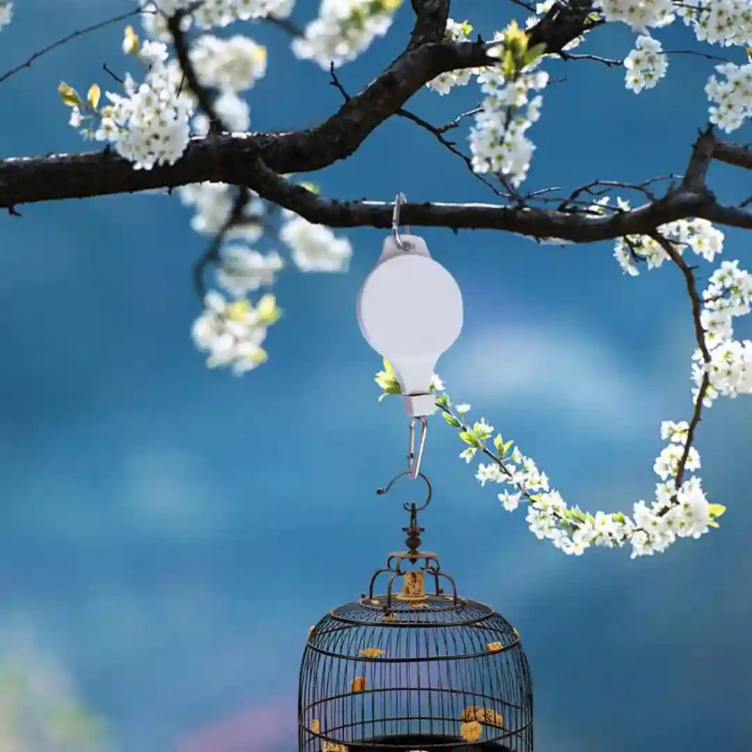 Polea Retráctil para Materas de Jardín, Cests, Comederos de Pájaros🪴☘️