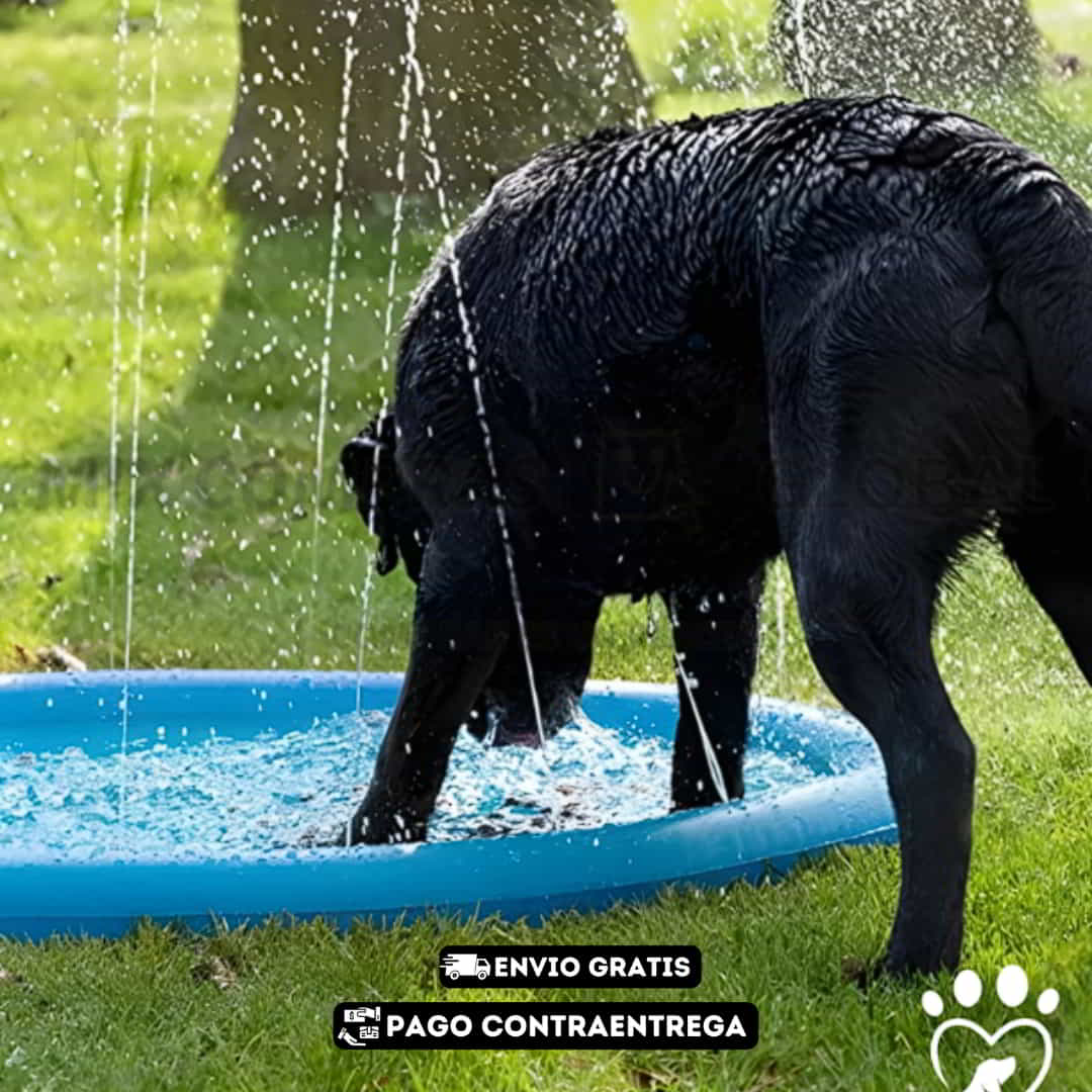 HAPYPETS: LAS SUPER PISCINA PARA QUE TU PELUDITO LIBERE EL ESTRES Y SEA MÁS FELIZ