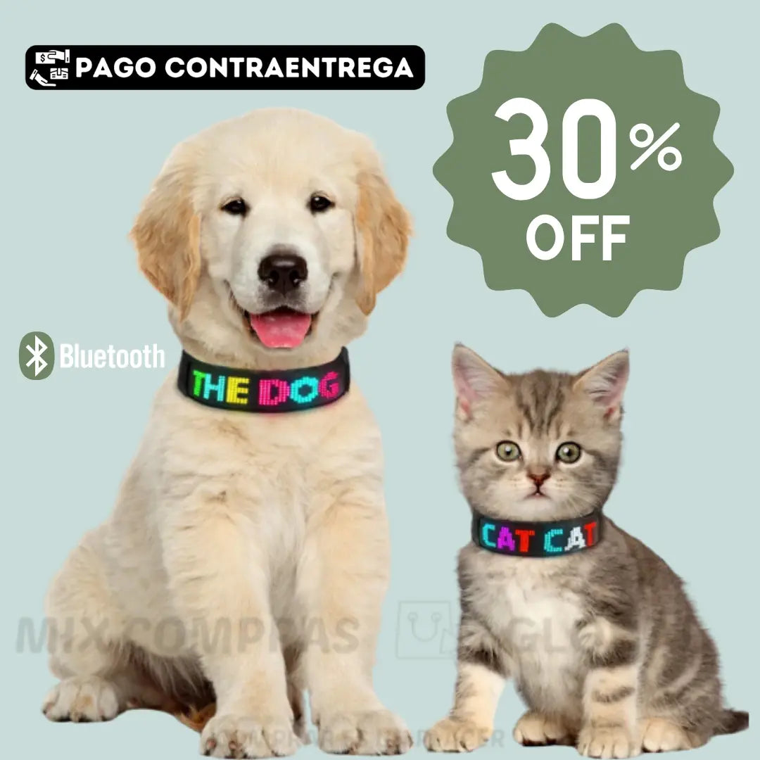 COLLAR LED PARA MASCOTA PERSONALIZABLE DESDE TU CELULAR🎁TALLA UNICA🧐