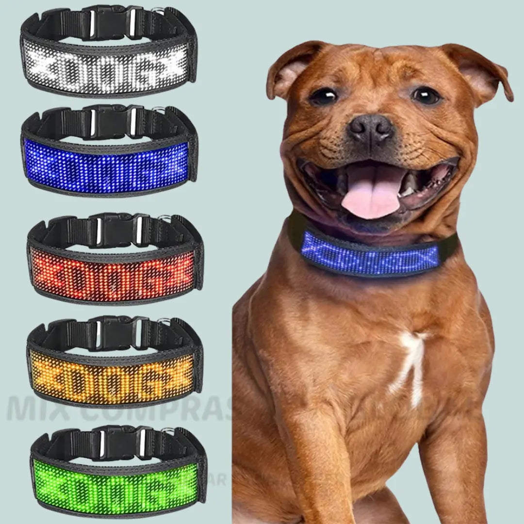 COLLAR LED PARA MASCOTA PERSONALIZABLE DESDE TU CELULAR🎁TALLA UNICA🧐