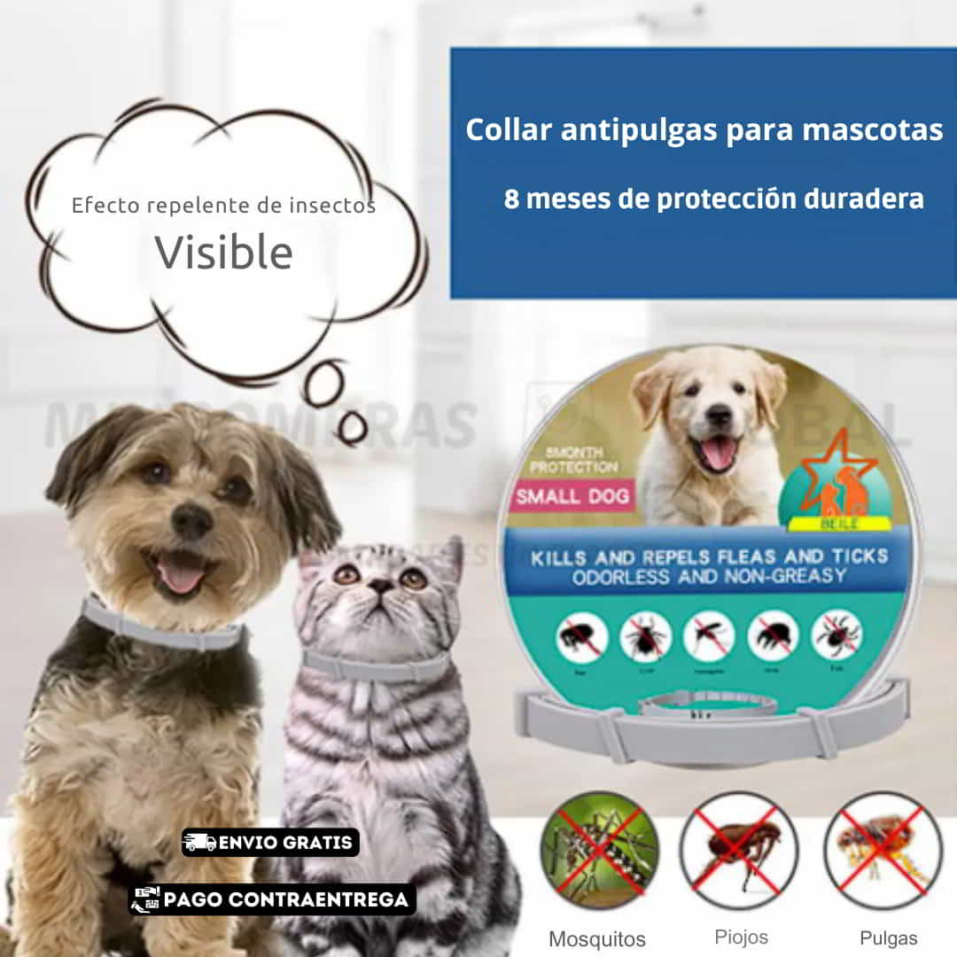 ECOPAWGUARD COLLAR ANTI PULGAS Y GARRAPATAS. FUNCIONO PERFECTAMENTE EN UN PASTOR ALEMAN 🐕‍🦺