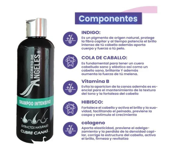 Shampoo Cubre Canas Secreto de Ángeles➕Colageno GRATIS🎁