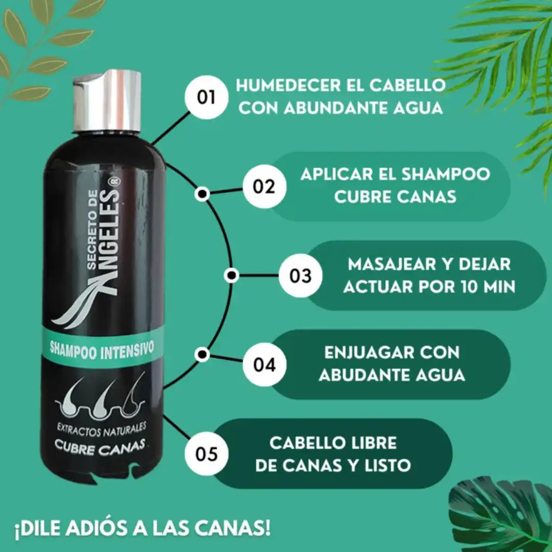 Shampoo Cubre Canas Secreto de Ángeles➕Colageno GRATIS🎁