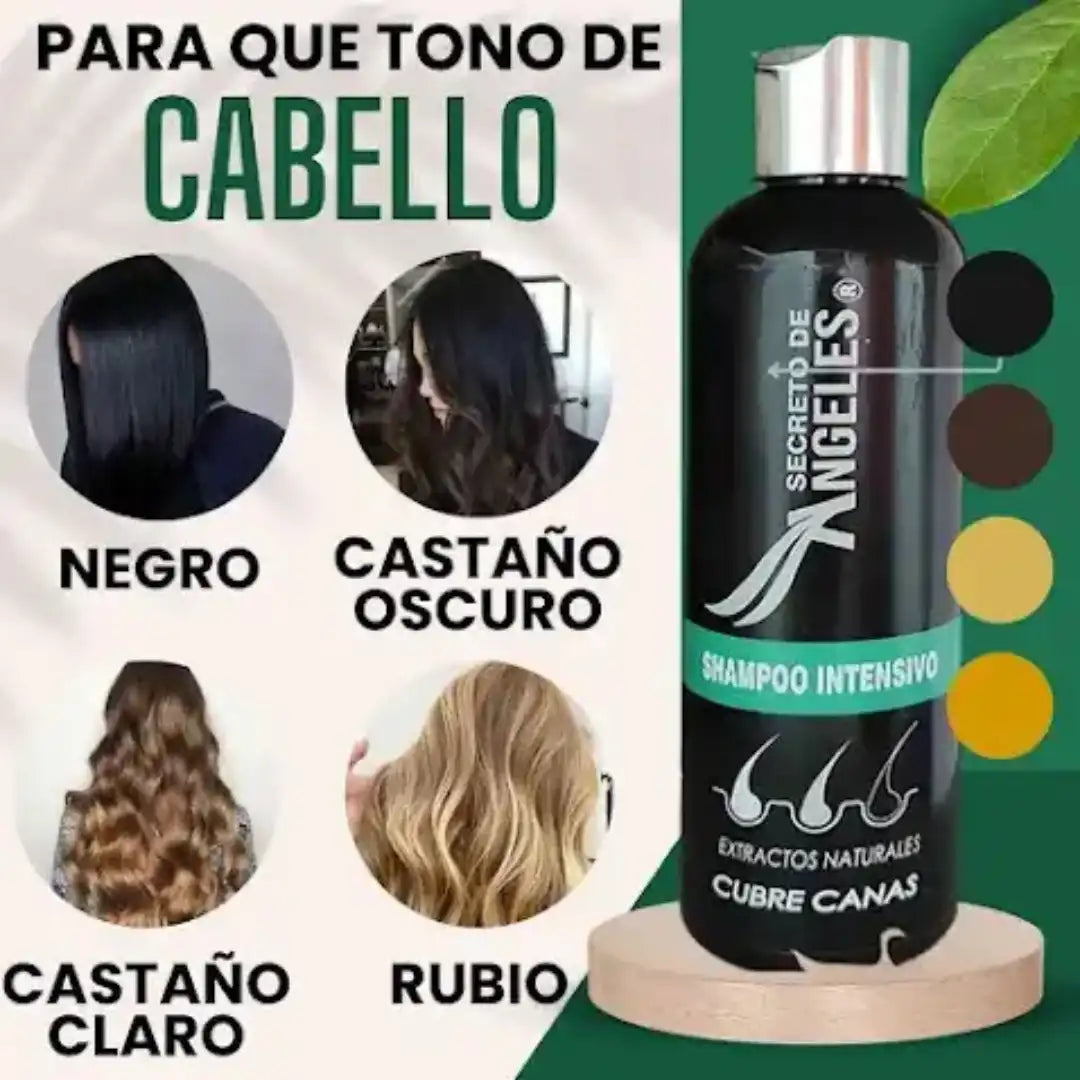 Shampoo Cubre Canas Secreto de Ángeles➕Colageno GRATIS🎁